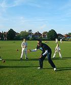 Cricket in the UK